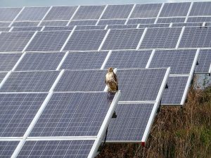 Glauco Diniz Duarte - como surgiu energia solar fotovoltaica